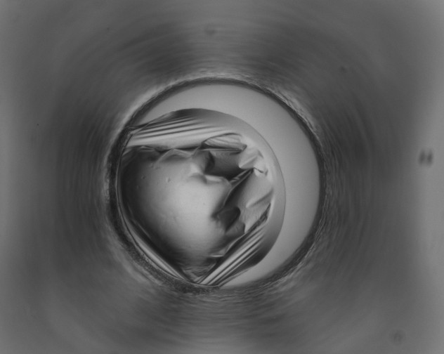 X0000091970584200710041051