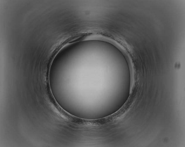 X0000091970585200710041051