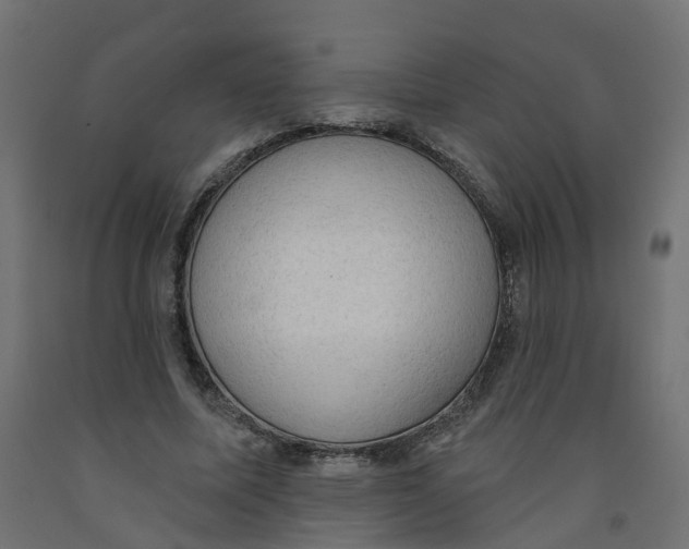 X0000091970587200710041051