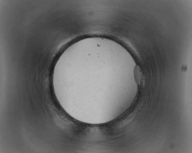 X0000091970588200710041051