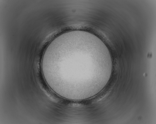 X0000091970590200710041051