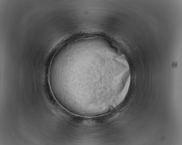X0000091970591200710041050
