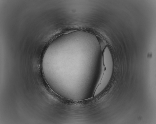 X0000091970593200710041050
