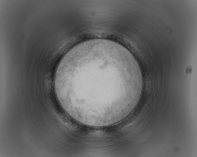 X0000091970594200710041050
