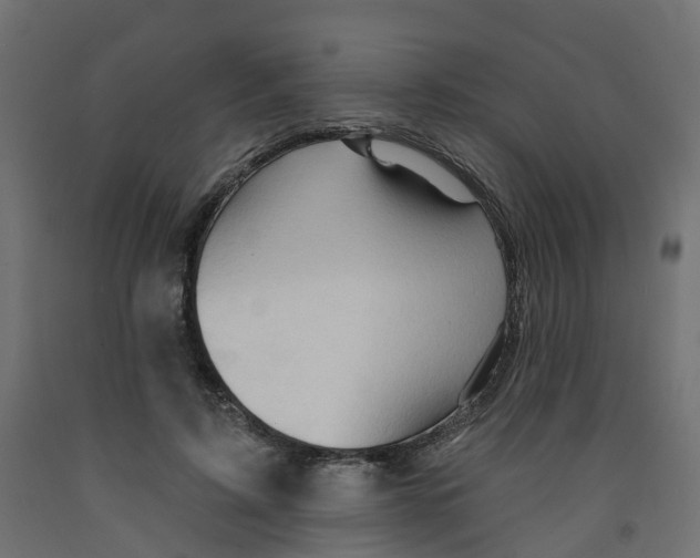 X0000091970595200710041050