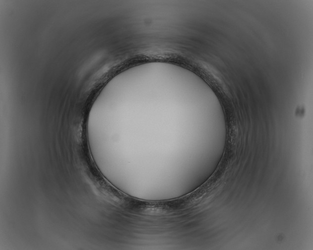X0000091970596200710041050