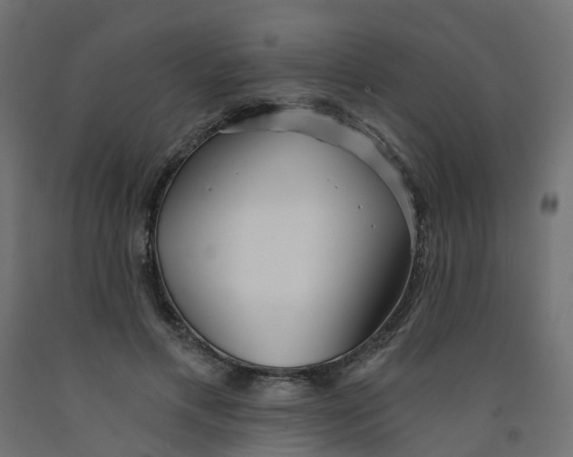 X0000091970597200710041050