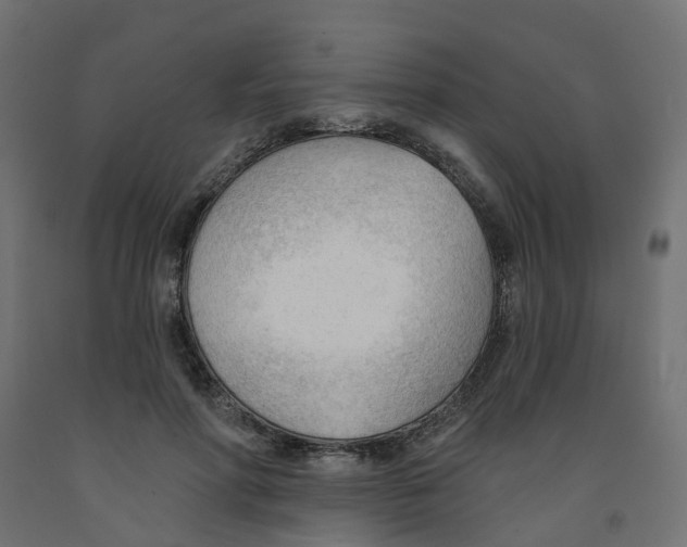 X0000091970598200710041050