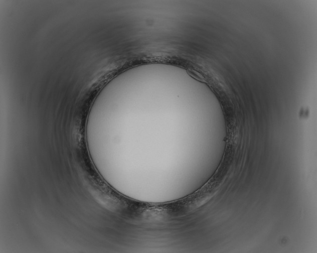 X0000091970599200710041050