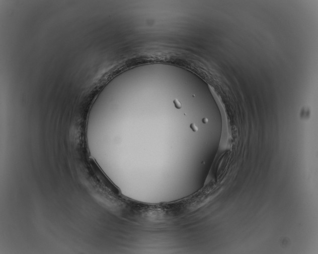 X0000091970600200710041050