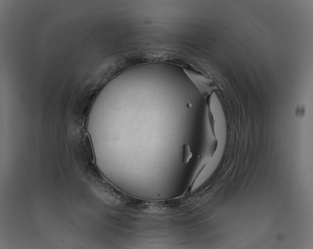 X0000091970601200710041050