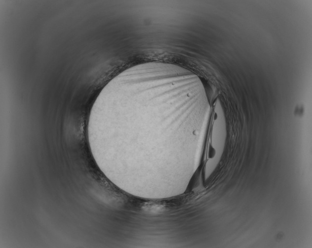 X0000091970602200710041050