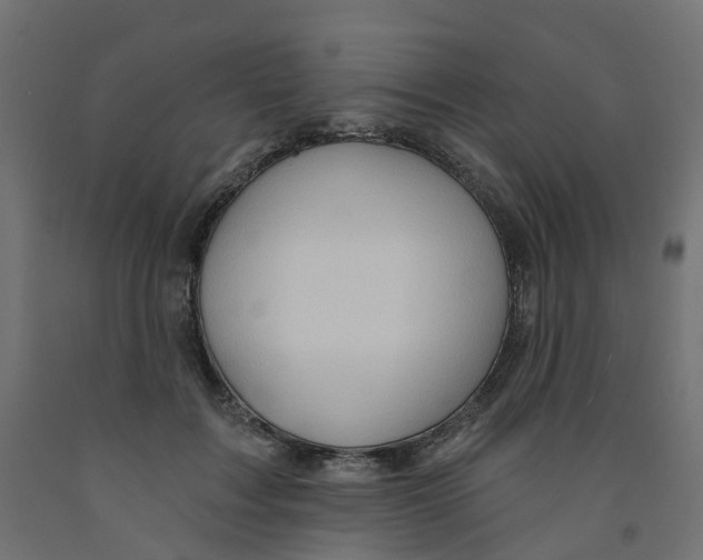 X0000091970603200710041050
