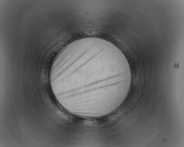 X0000091970606200710041050