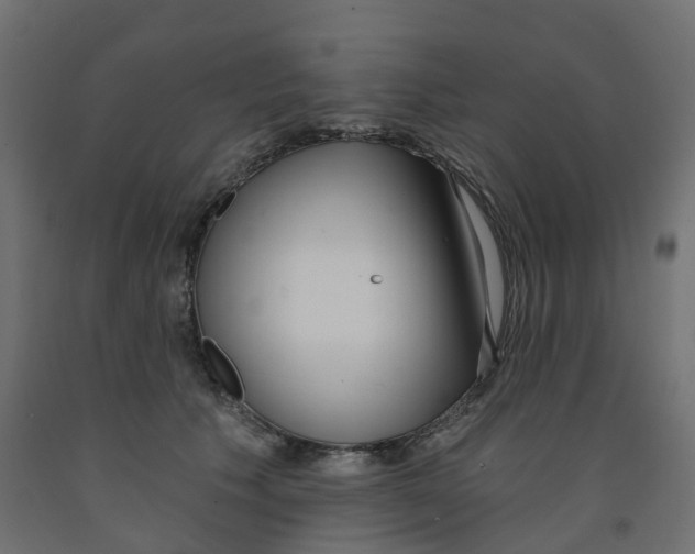 X0000091970609200710041050
