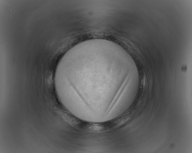 X0000091970610200710041050