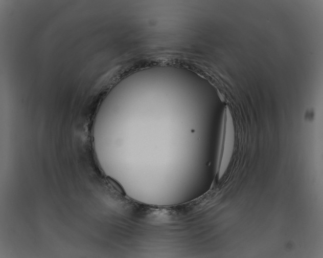 X0000091970611200710041050