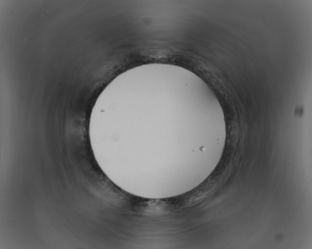 X0000091970612200710041050