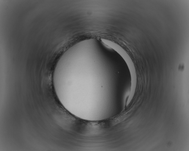 X0000091970613200710041050