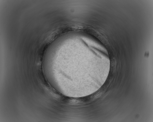 X0000091970614200710041050