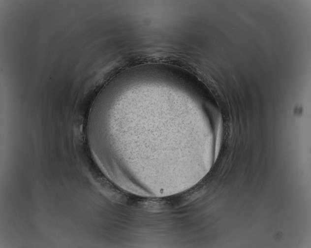 X0000091970615200710041050