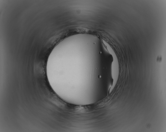 X0000091970616200710041050