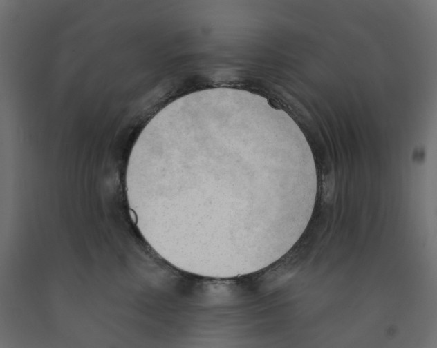 X0000091970618200710041050
