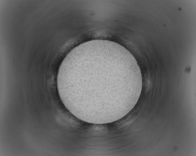 X0000091970619200710041050