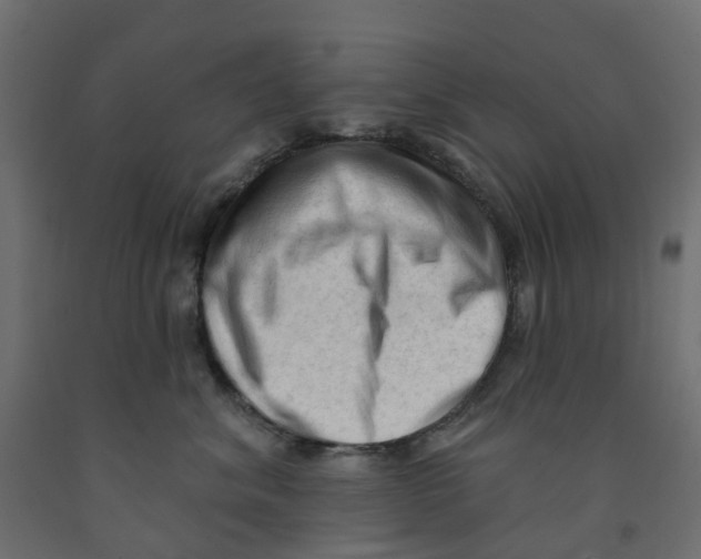 X0000091970620200710041050