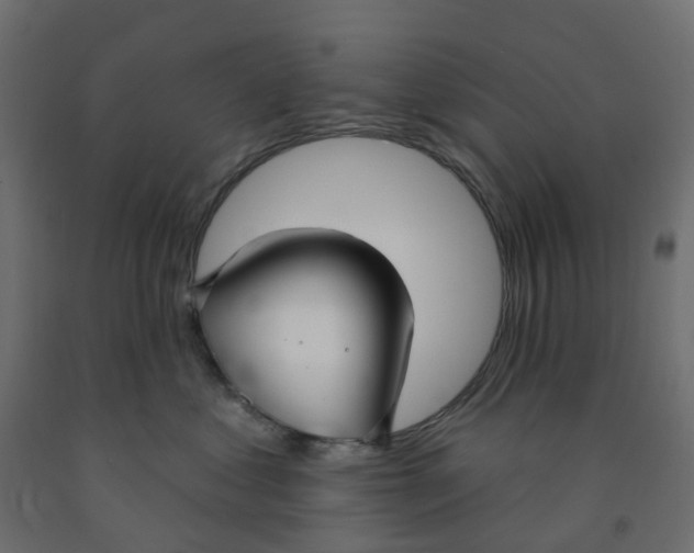 X0000091970621200710041050