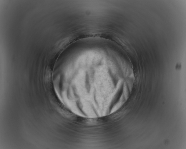 X0000091970623200710041050