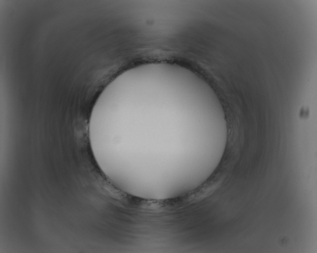 X0000091970624200710041050
