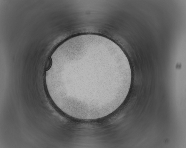 X0000091970625200710041049