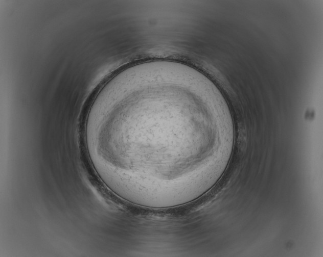 X0000091970626200710041049