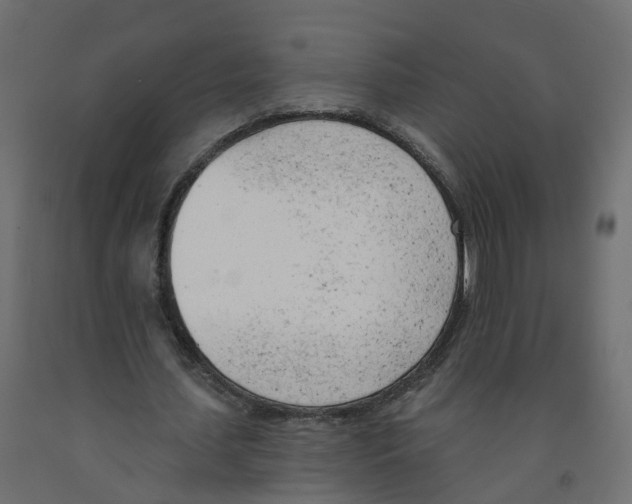 X0000091970627200710041049