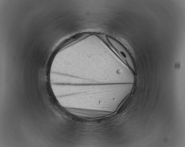 X0000091970628200710041049