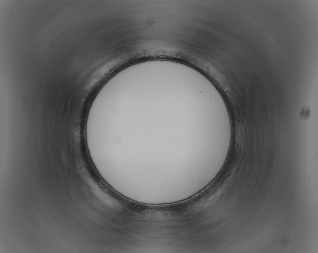 X0000091970629200710041049