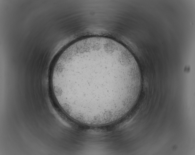 X0000091970630200710041049