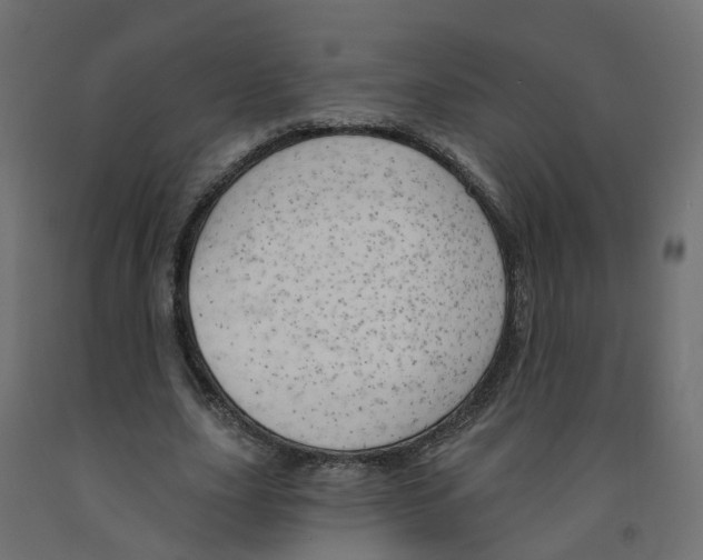 X0000091970631200710041049