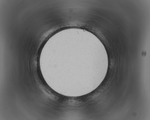 X0000091970632200710041049