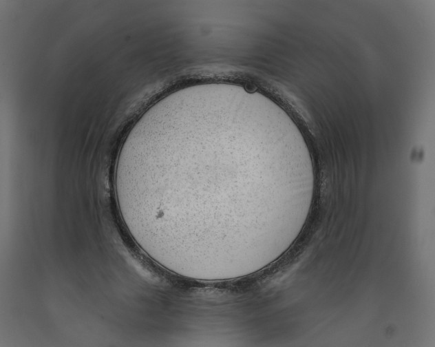 X0000091970633200710041049