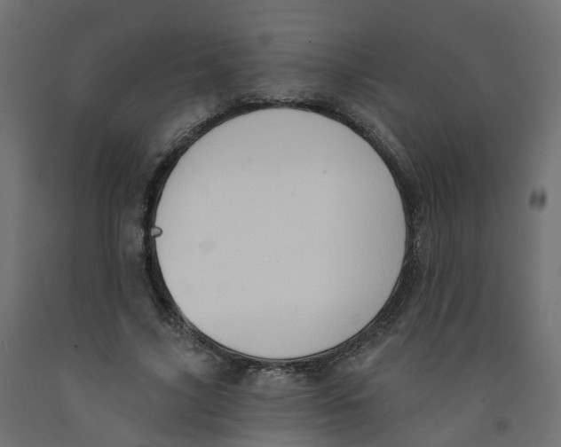 X0000091970635200710041049