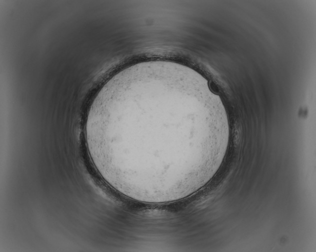 X0000091970637200710041049