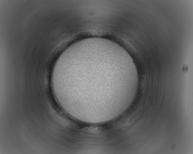 X0000091970639200710041049