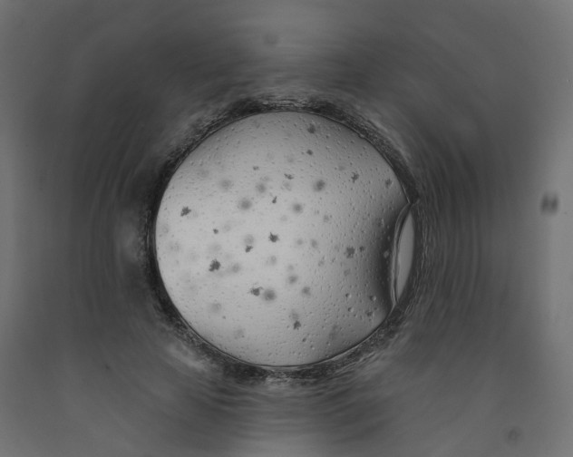 X0000091970641200710041050
