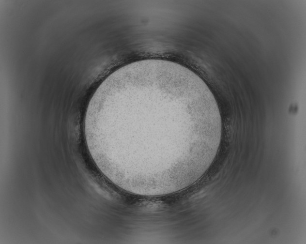 X0000091970642200710041050