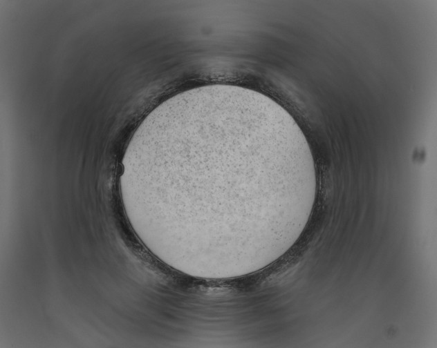 X0000091970645200710041050