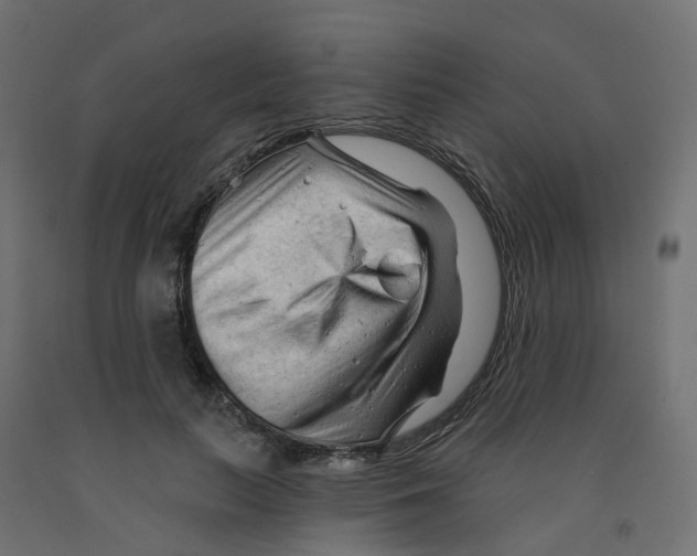 X0000091970647200710041050
