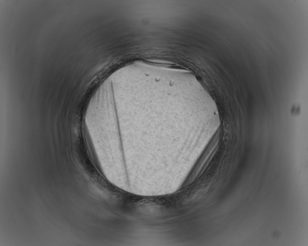 X0000091970648200710041050