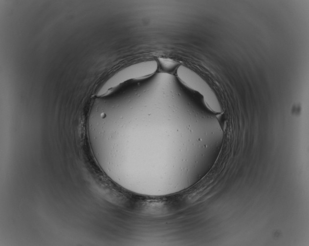 X0000091970651200710041050
